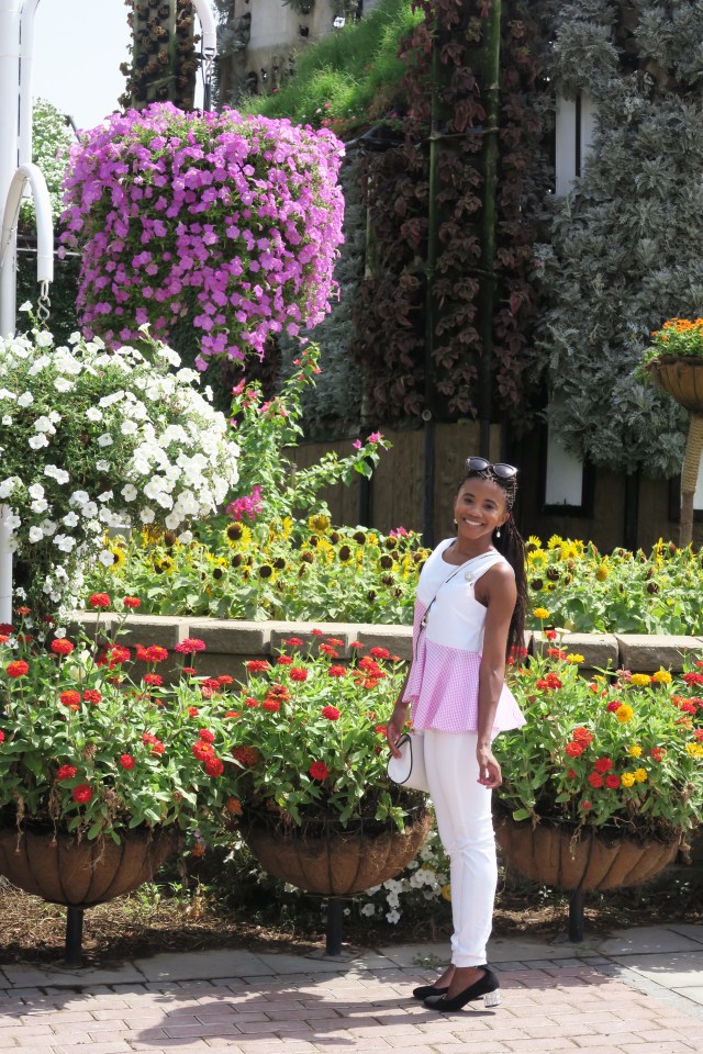 Visiting Miracle Garden 2