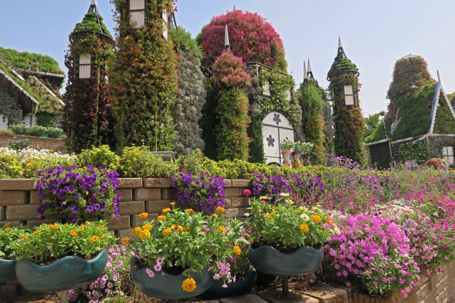 Visiting Miracle Garden 3